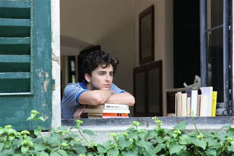 Call Me By Your Name:  ภาพยนตร์รักวัยรุ่นที่บอบบางและงดงามอย่างน่าประหลาดใจ!